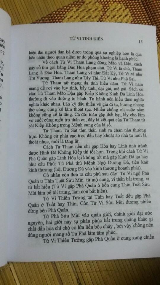 Tử Vi Tinh Điển - Vũ Tài Lục, 372 Trang - Hình ảnh 5