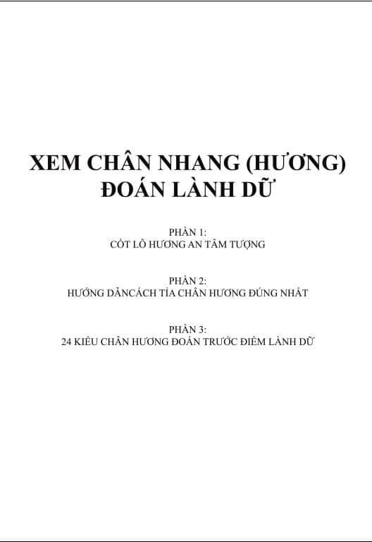 Xem Chân Hương Đoán Lành Dữ - Hình ảnh 3