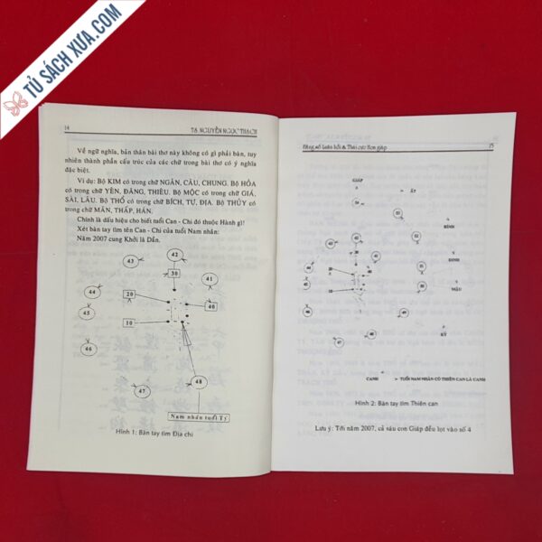 Hằng Số Luân Hồi Thái Cực Hoa Giáp - Nguyễn Ngọc Thạch - Hình ảnh 9
