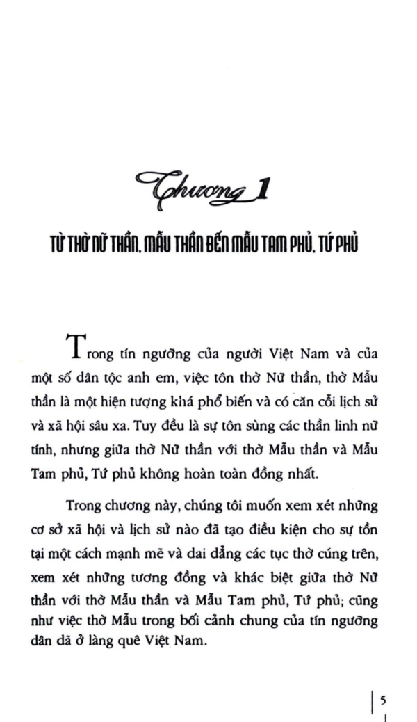 Đạo Mẫu Tam Phủ Tứ Phủ – Ngô Đức Thịnh - Hình ảnh 5