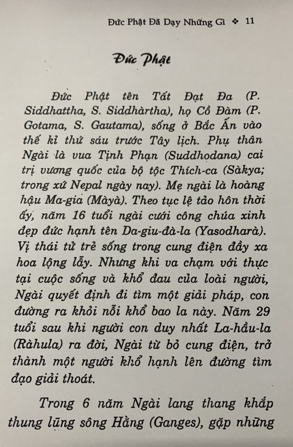 Đức Phật Đã Dạy Những Gì - Thích Nữ Trí Hải - Hình ảnh 4