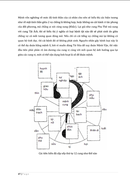 Tử Vi Đẩu Số Vận Mệnh Phân Tích - Tử Tằng Sinh - Hình ảnh 3