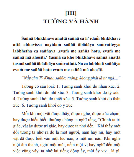 Kinh Vô Ngã Tướng - Thiền sư Mahasi Sayadaw (Phạm Kim Khánh dịch) - Hình ảnh 4