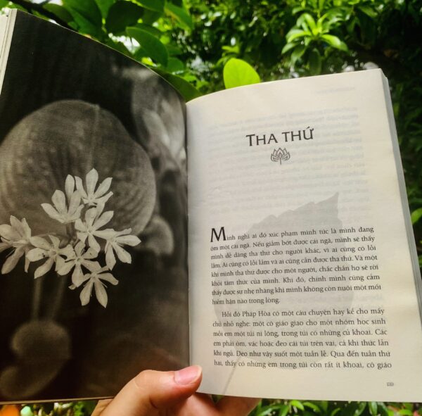 Chia Sẻ Từ Trái Tim - Thích Pháp Hòa - Hình ảnh 6