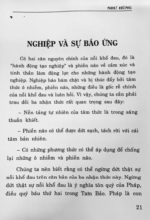 Những Câu Chuyện Về Nhân Quả Nhân Nào Quả Ấy - Như Hùng - Hình ảnh 3