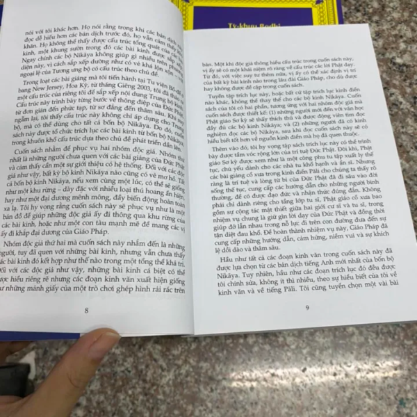 Những Lời Phật Dạy - Bình Anson dịch - Hình ảnh 4