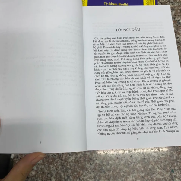 Những Lời Phật Dạy - Bình Anson dịch - Hình ảnh 3